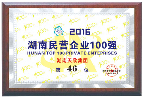 2016年湖南民營(yíng)企業(yè)100強(qiáng) 第46位